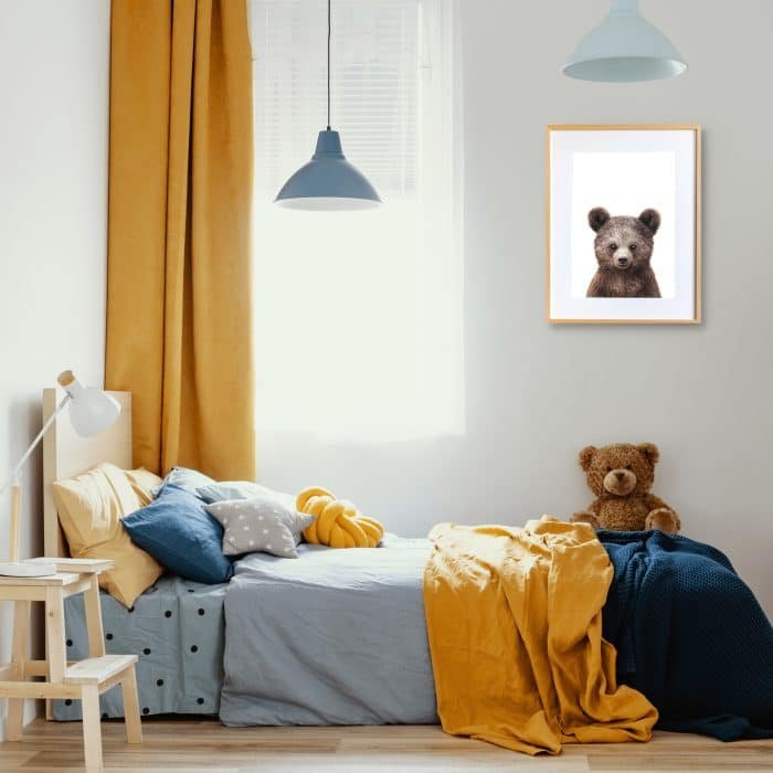 Paul the Bear - Image 6