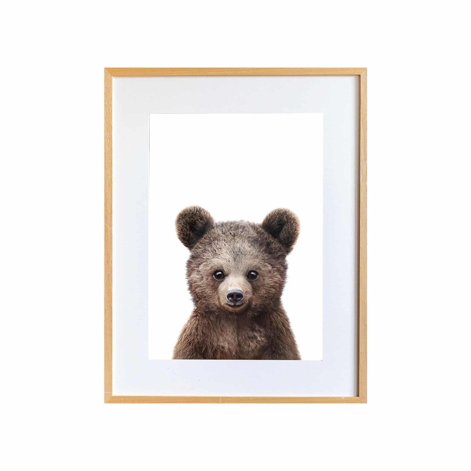 0AE20FE5-DE4C-432A-BF58-127CAE3B41BF Paul the Bear - Image 1