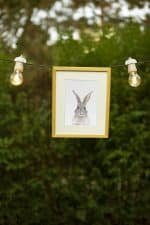 Poppy The Rabbit - Image 3