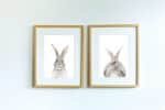 Bunny Butt - Image 3