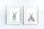 Bunny Butt - Image 6