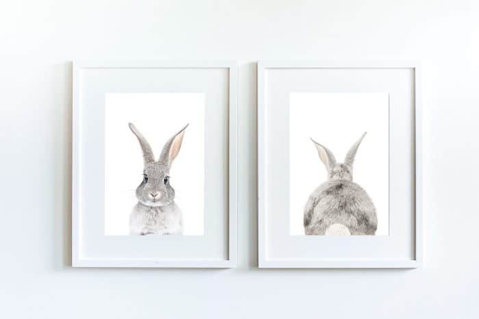 Bunny Butt - Image 6