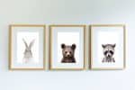Poppy The Rabbit - Image 7