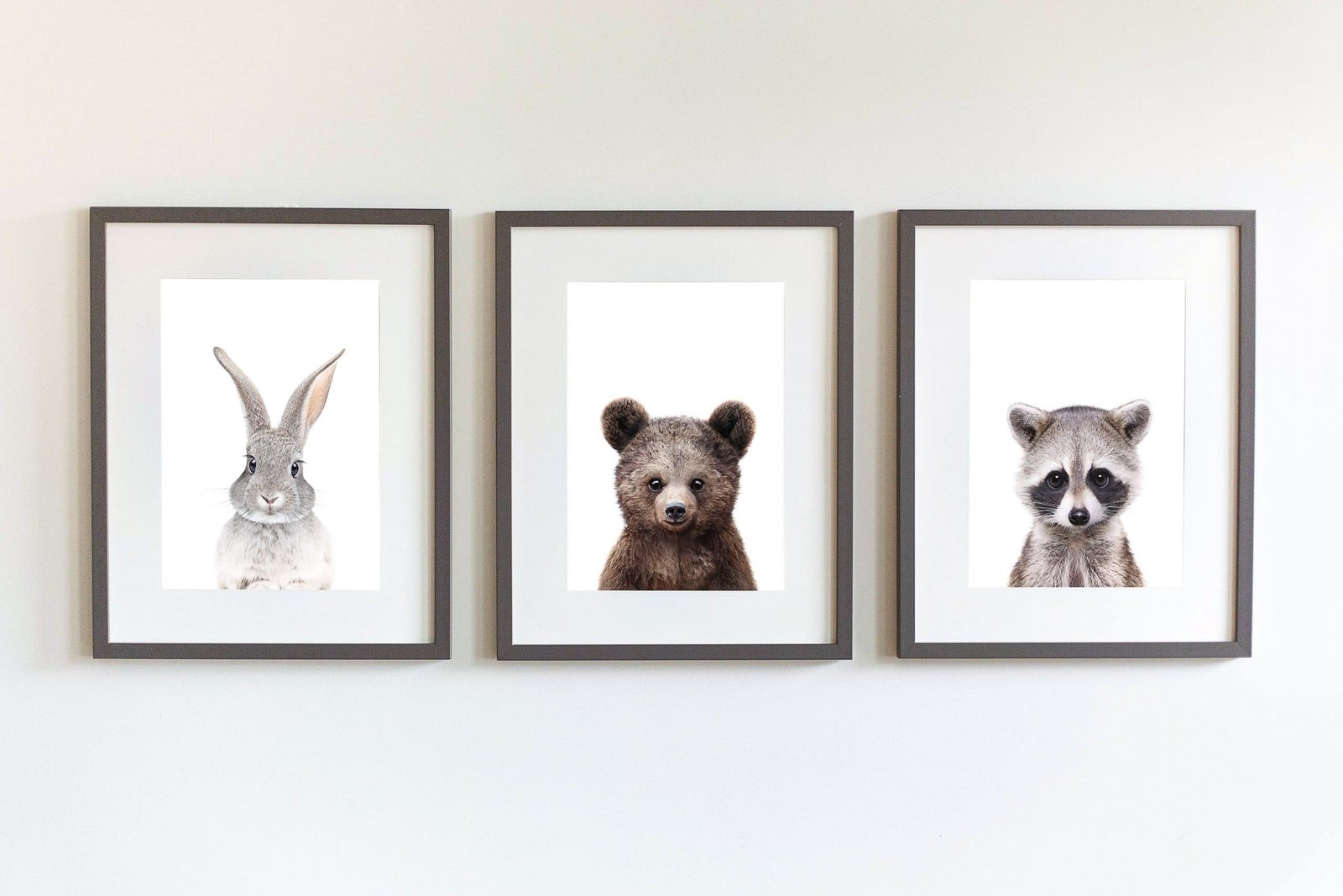 1-4-3 Jerry the Racoon - Image 11