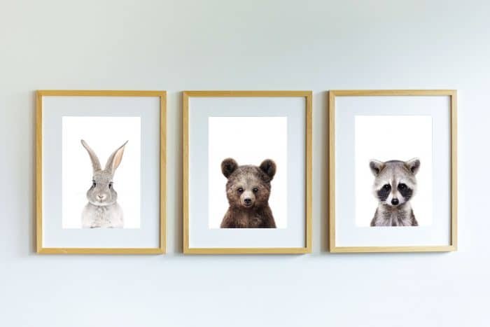Poppy The Rabbit - Image 7
