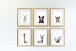 Tacho the Zebra - Image 7