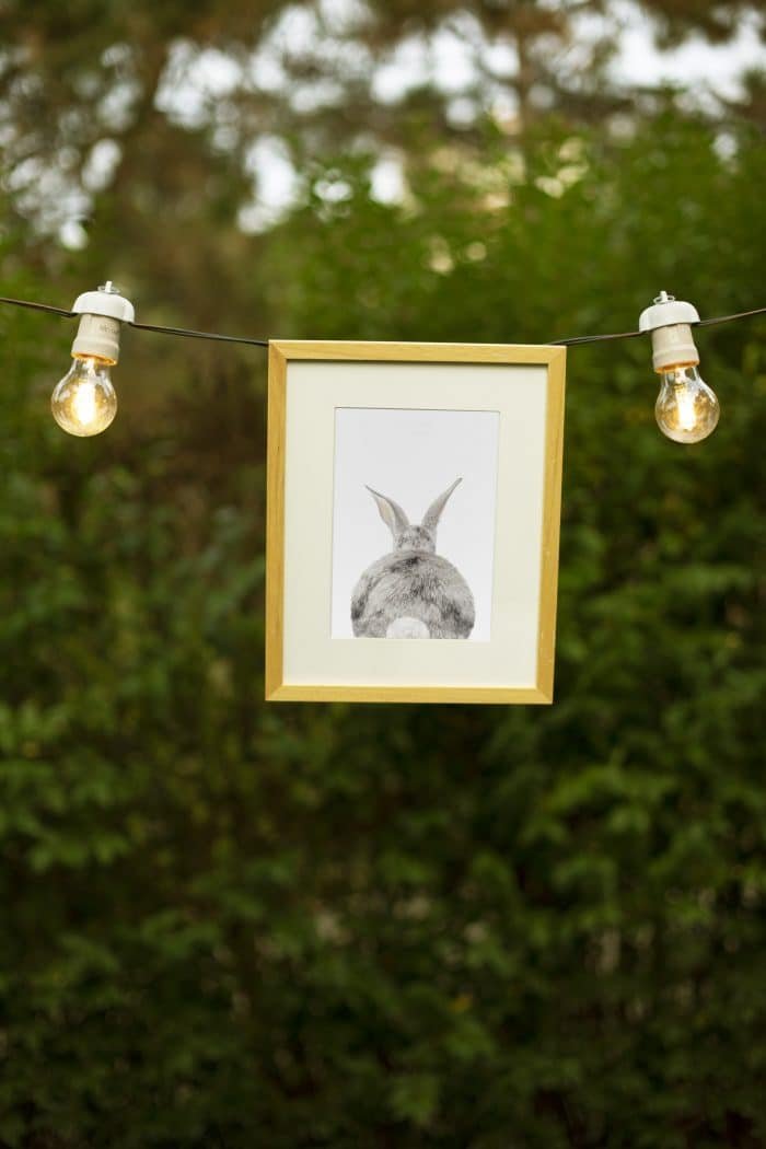 Bunny Butt - Image 2