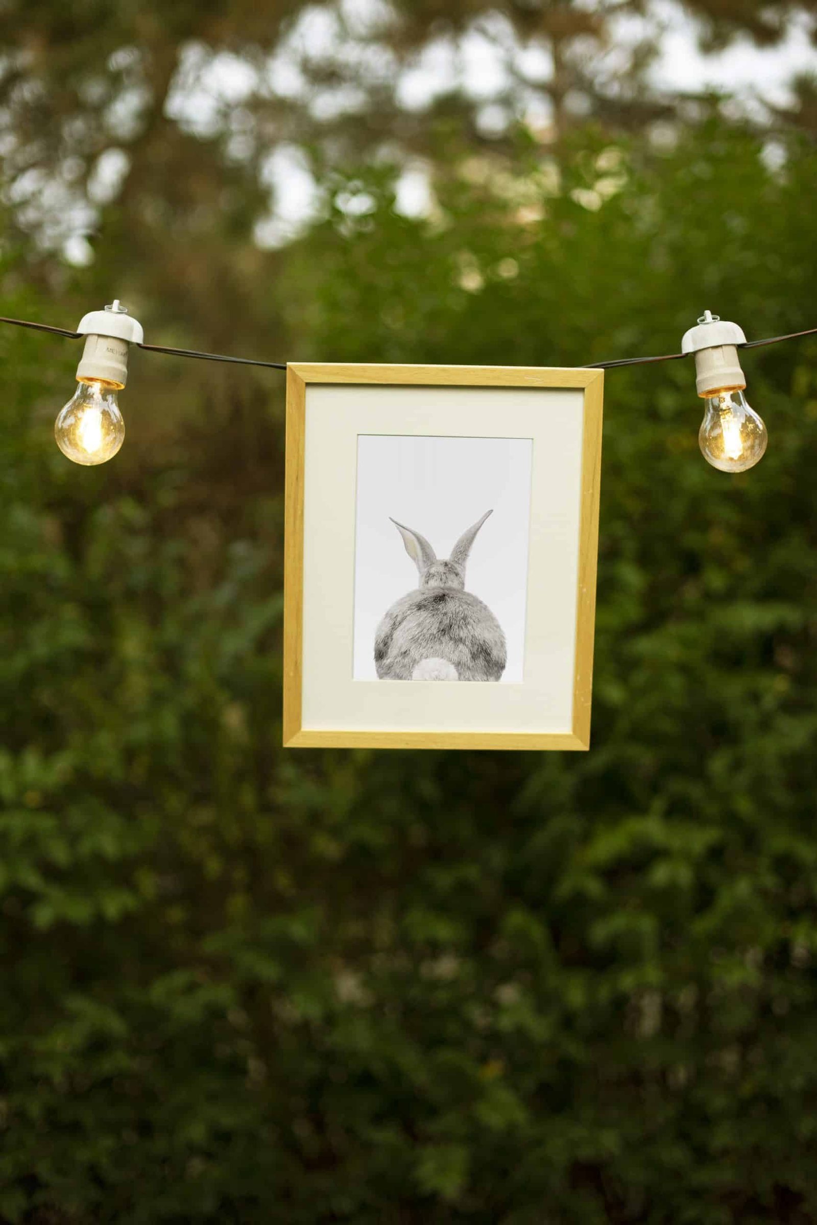 2 Bunny Butt - Image 2