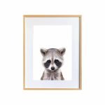 Jerry the Racoon
