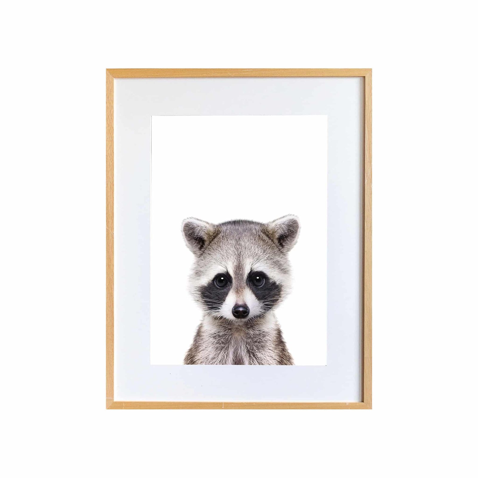 29F57EE3-3CBC-4A9F-8108-A2B6A53BFEE3 Jerry the Racoon - Image 1