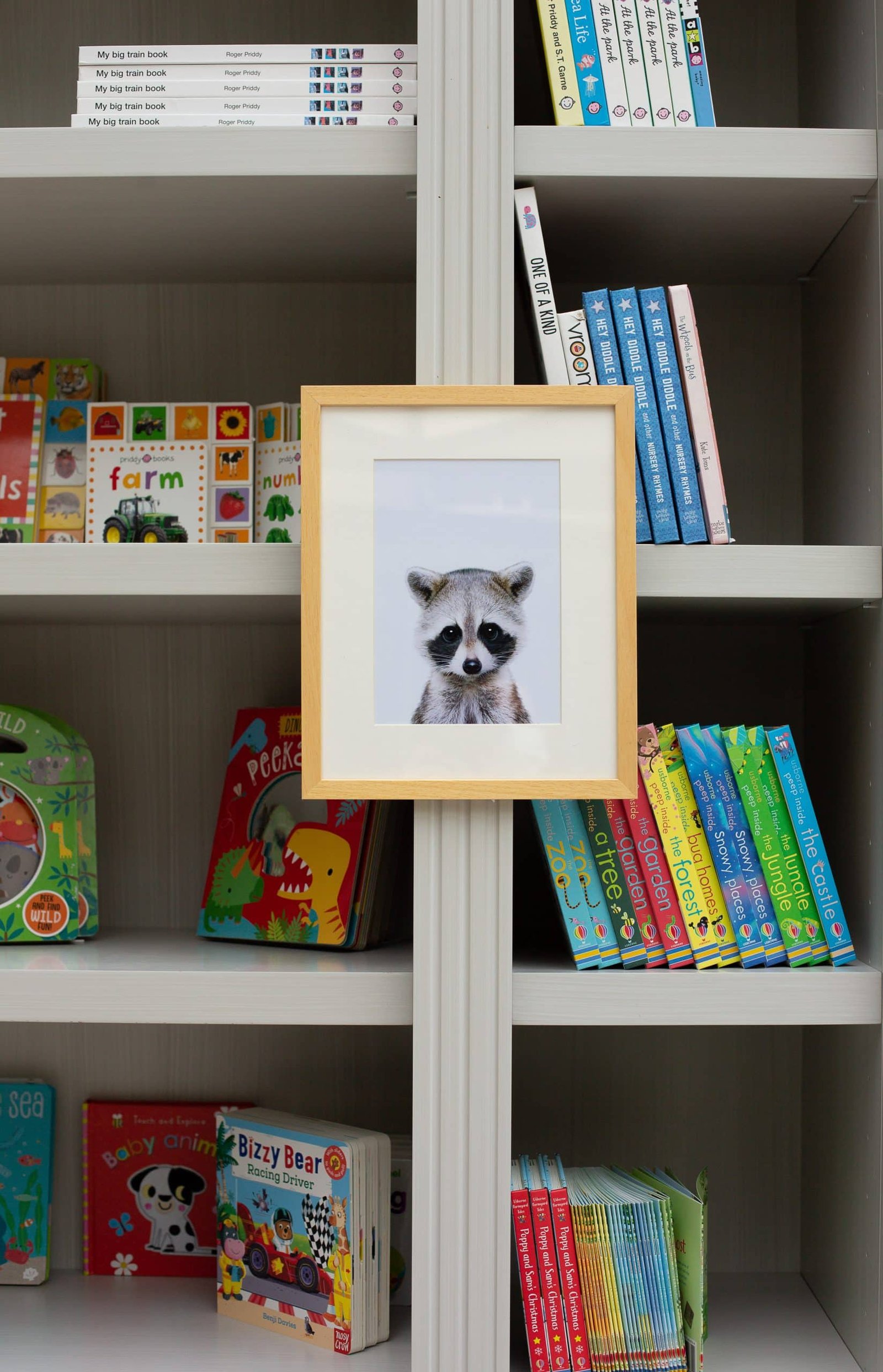 2E3557EB-9826-4E9E-BE01-7DCB15FEA341 Jerry the Racoon - Image 4