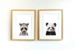 Jerry the Racoon - Image 12