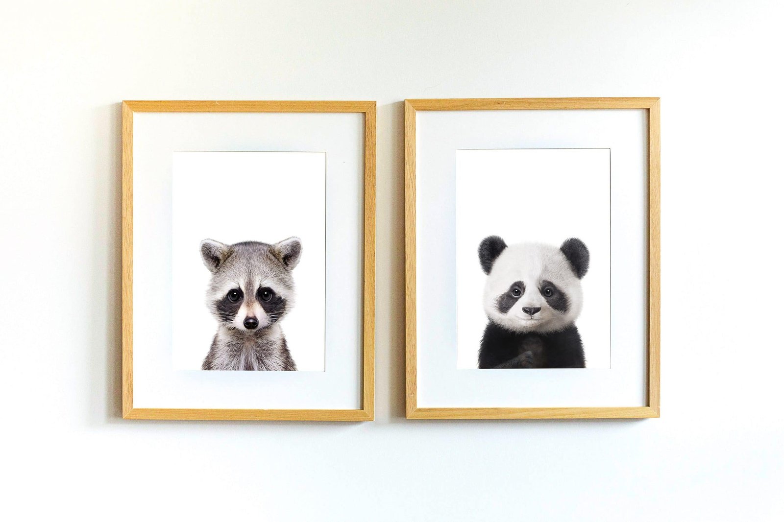 3-12 Jerry the Racoon - Image 12