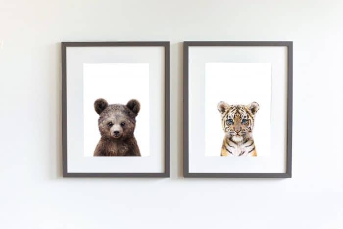 Maicy the Tiger - Image 11