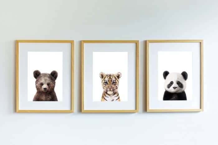 Maicy the Tiger - Image 5