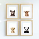 Paul the Bear - Image 13
