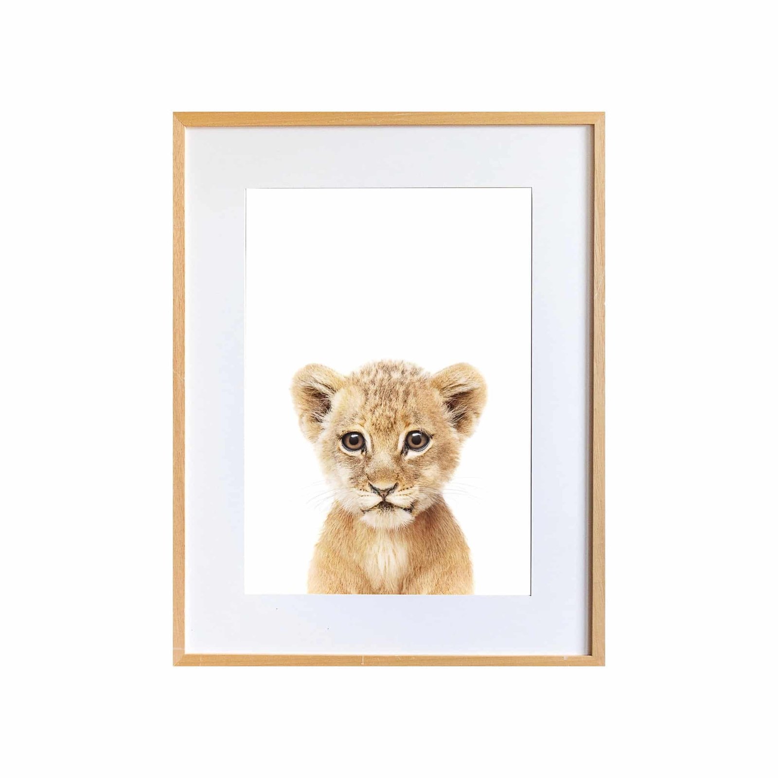 4FBFE7FC-97FE-4D5D-AD07-3BD97FCE84A1 Maicy the Tiger - Image 1