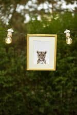Maicy the Tiger - Image 2