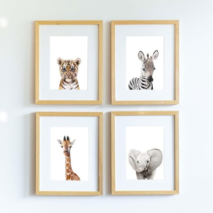 Tacho the Zebra - Image 6