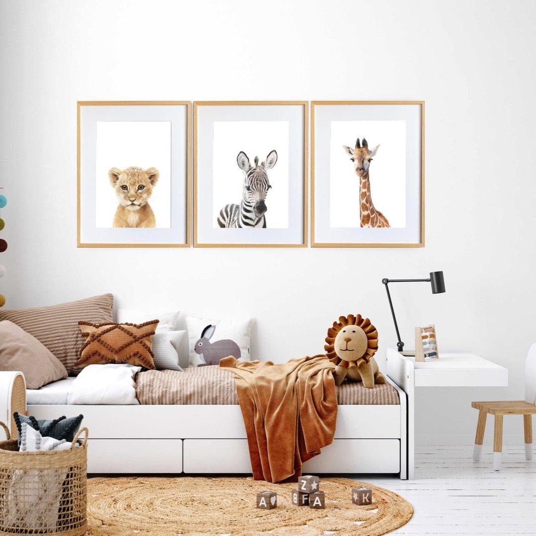 5AE34C42-DBB7-4CC2-98BA-C504D221164A Tacho the Zebra - Image 3