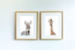 Tacho the Zebra - Image 4