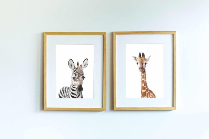 Tacho the Zebra - Image 4