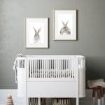 Poppy The Rabbit - Image 2