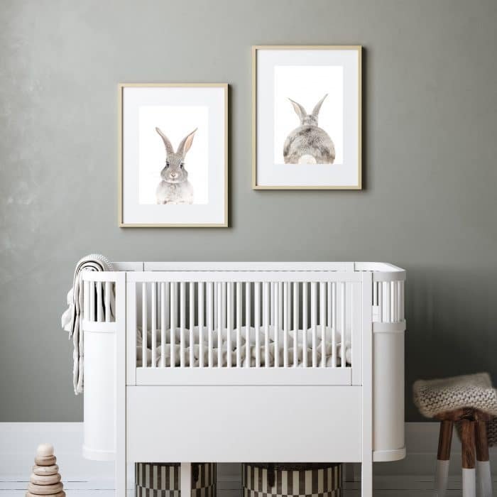 Poppy The Rabbit - Image 2