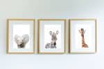 Tacho the Zebra - Image 5