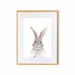 Poppy The Rabbit
