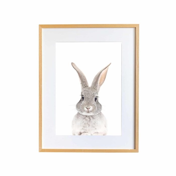 Poppy The Rabbit - Image 1