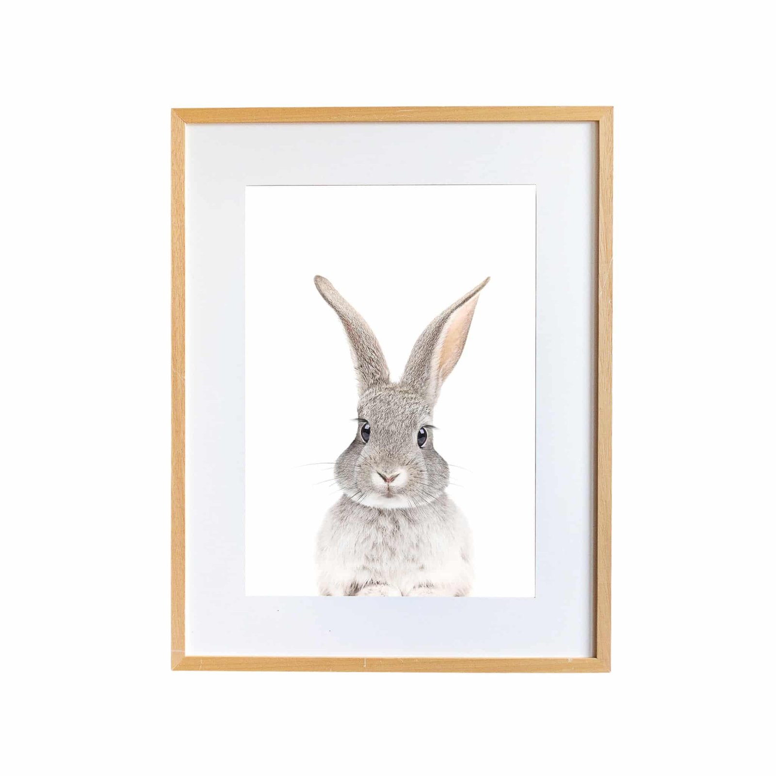 840DE0CE-6C35-4E0D-BECD-FA8F45A4F7F1 Poppy The Rabbit - Image 1