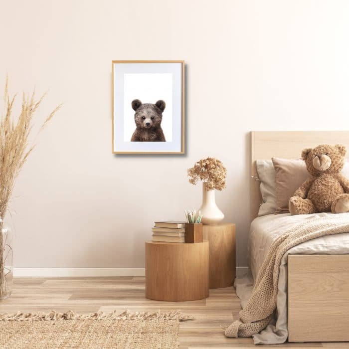 Paul the Bear - Image 5