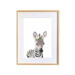Tacho the Zebra