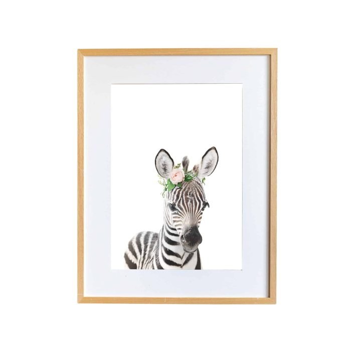 Tacho the Zebra - Image 1