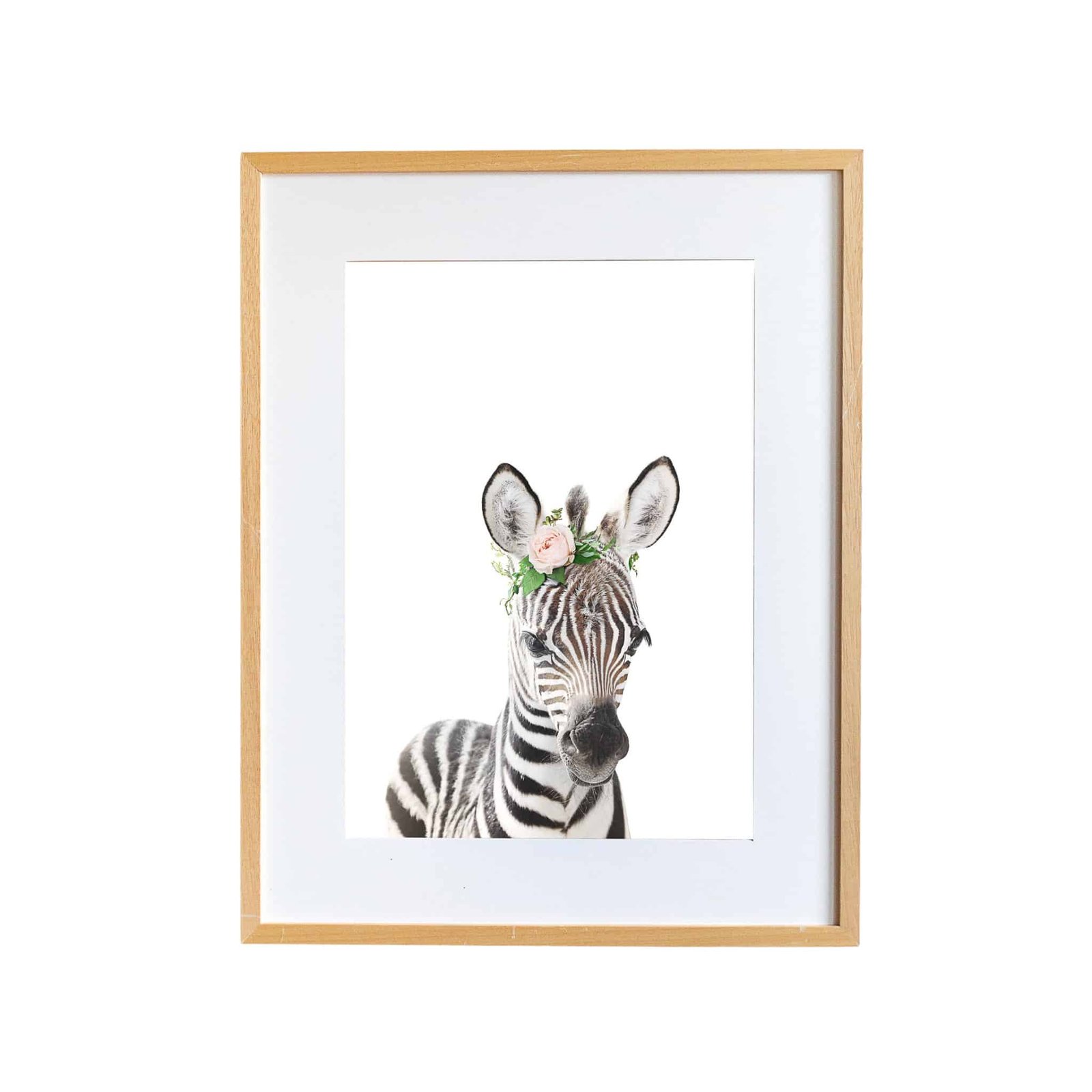D5DF45C5-95BF-412D-A5BA-EF92305294C5 Tacho the Zebra - Image 1