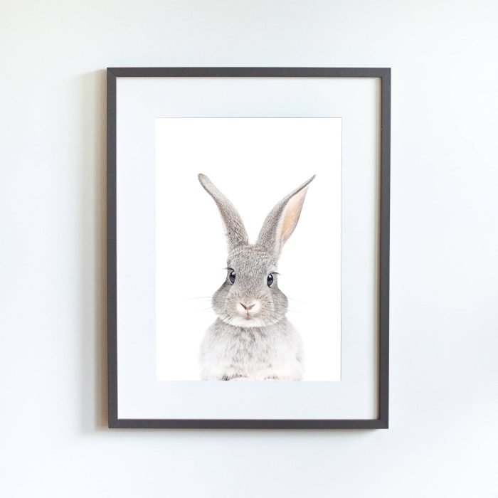 Poppy The Rabbit - Image 11
