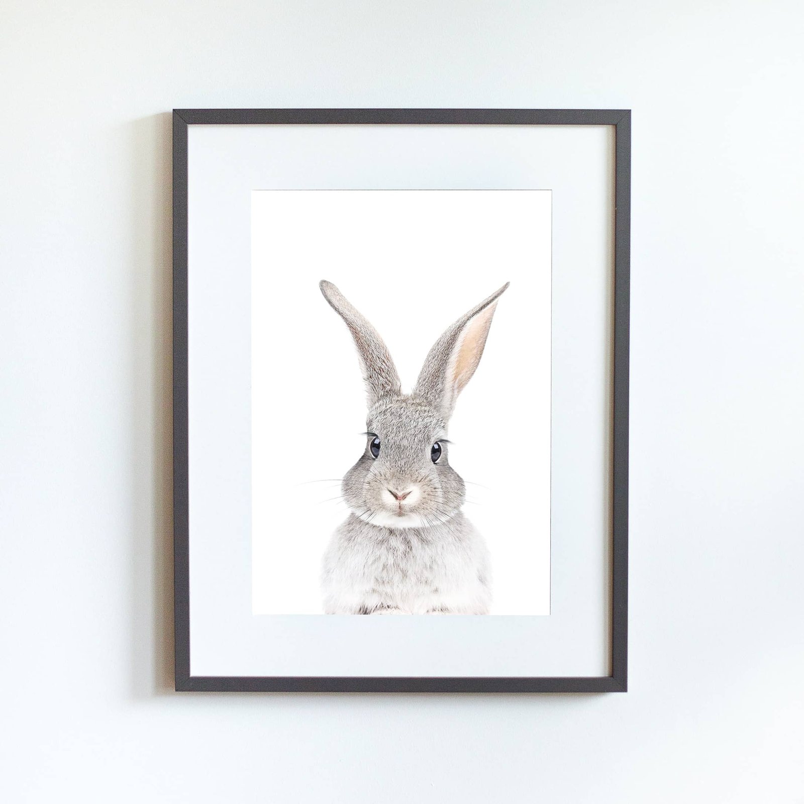 GT1 Poppy The Rabbit - Image 11