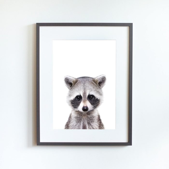 Jerry the Racoon - Image 9