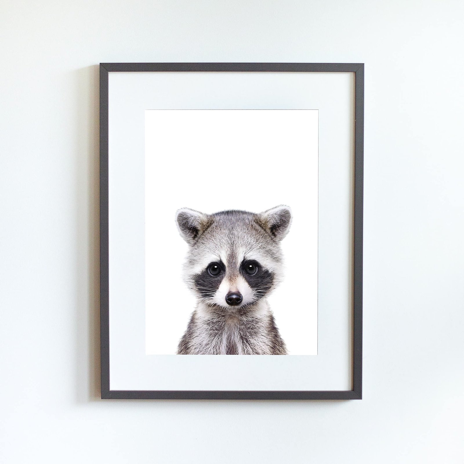 GT3 Jerry the Racoon - Image 9