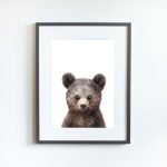 Paul the Bear - Image 14