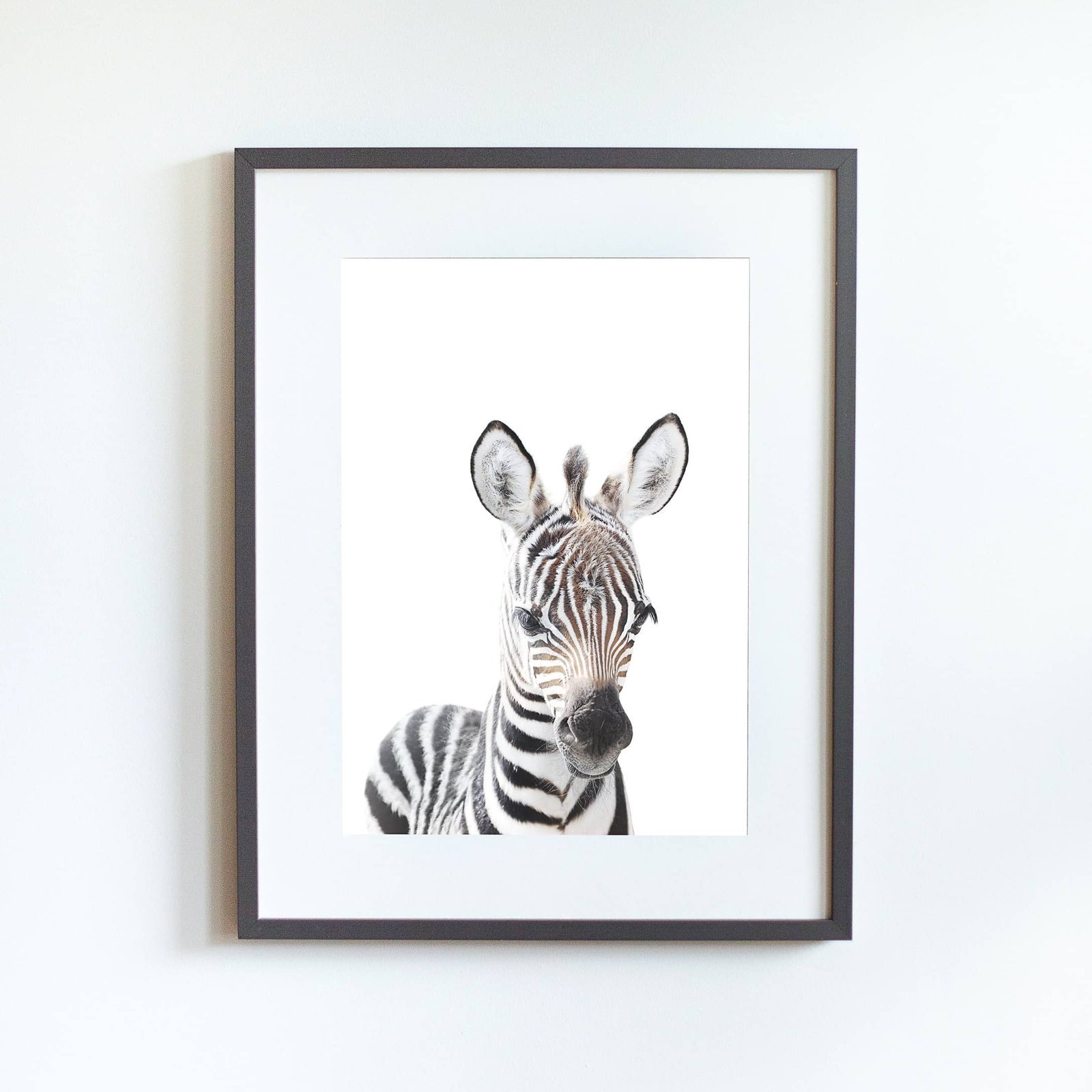 GT6 Tacho the Zebra - Image 8