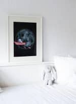 Dreaming in the Punt - Image 2