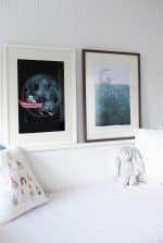 Dreaming in the Punt - Image 3