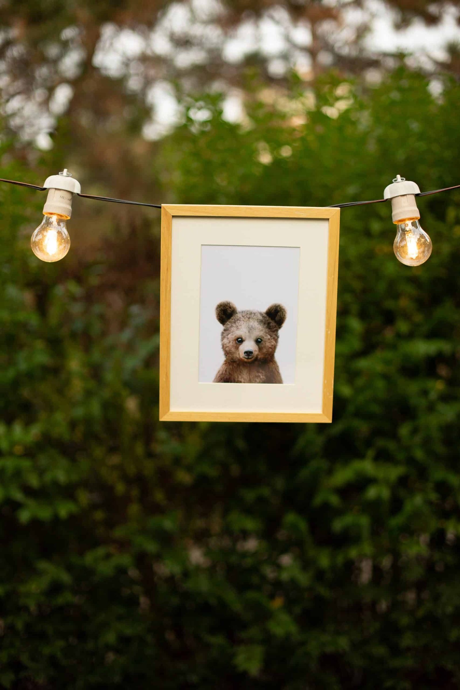 Little Forest Animals-196 Paul the Bear - Image 2