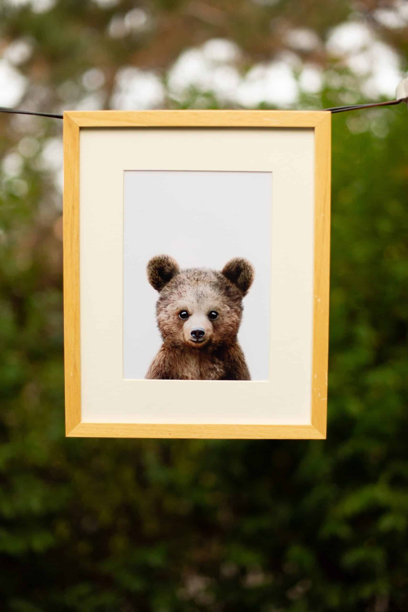 Little Forest Animals-197 Paul the Bear - Image 3