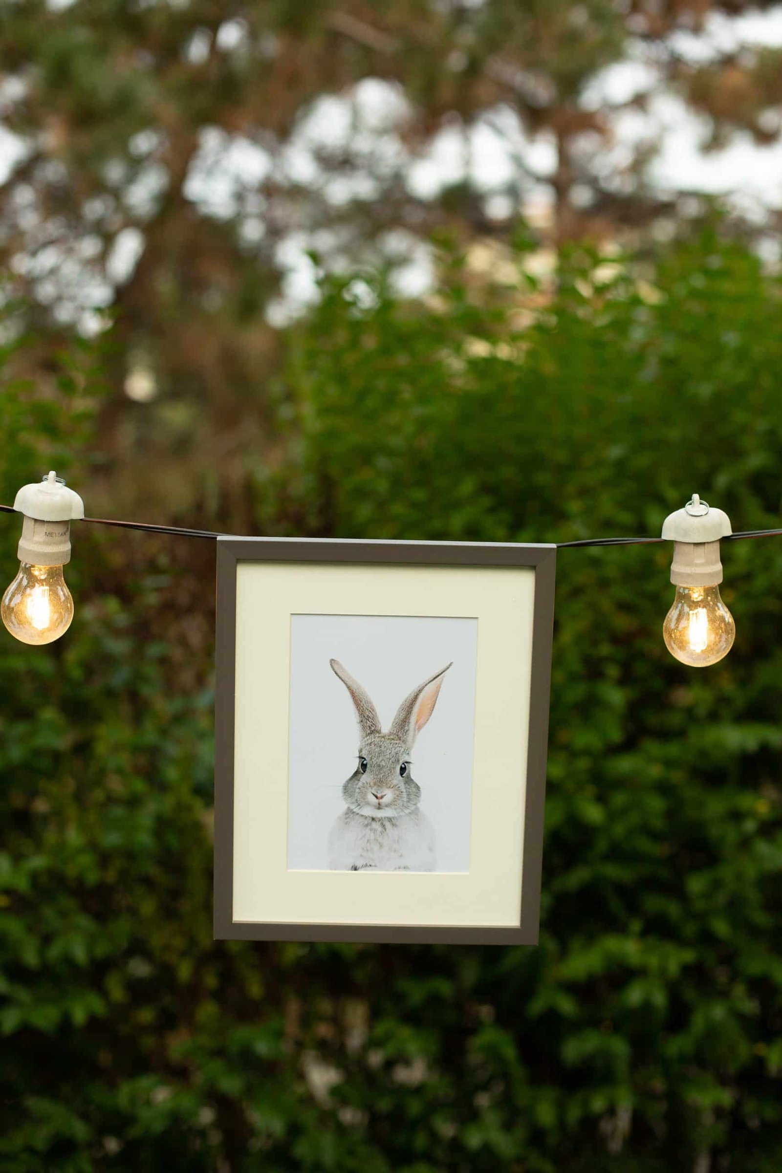Little Forest Animals-206 Poppy The Rabbit - Image 4