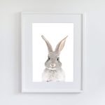 Poppy The Rabbit - Image 12