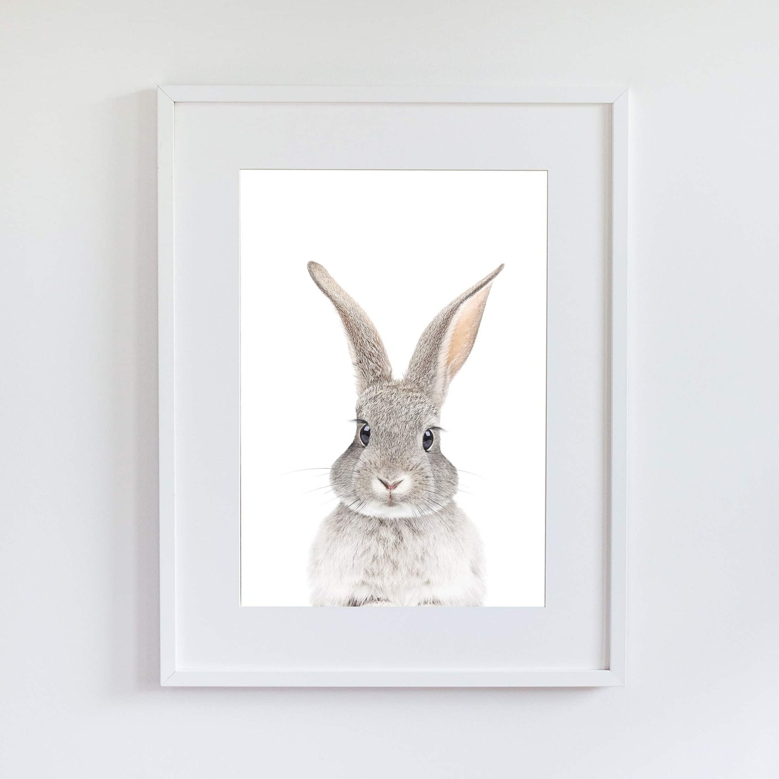 TB1 Poppy The Rabbit - Image 12