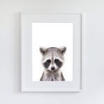Jerry the Racoon - Image 8